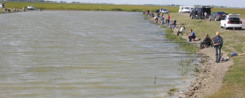 
            Фотография Сарата