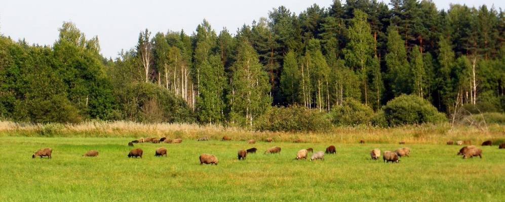 
            Фотография Хлынихи
