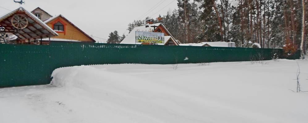 
            Фотография Щибрина