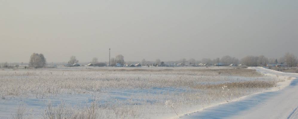 
            Фотография Черемшанки