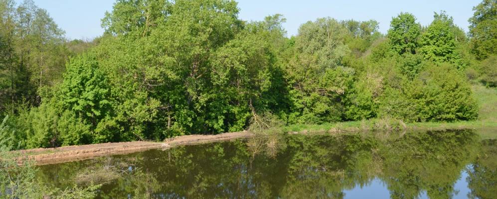 Фотография Карпцы