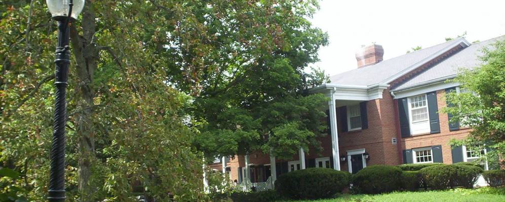 
            Фотография Гамбира