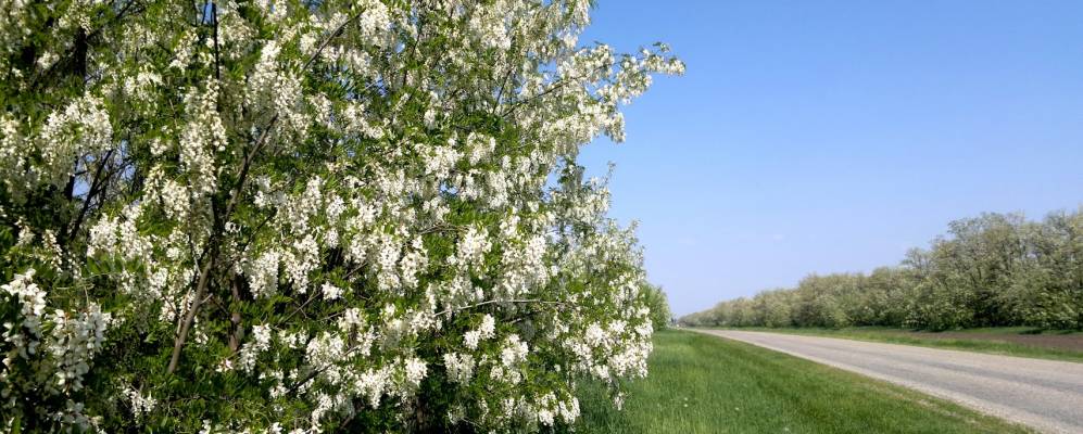 
            Фотография Зари