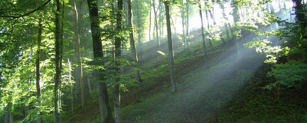 
            Фотография Виларепоса