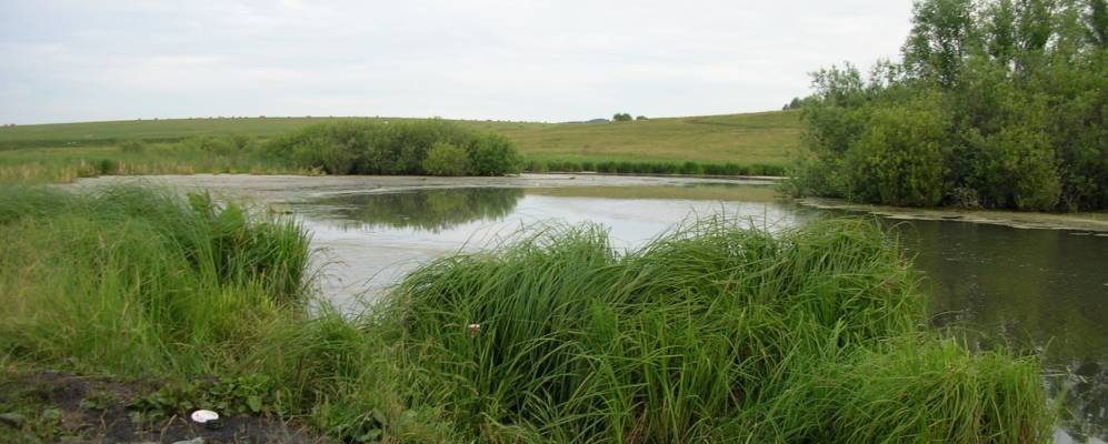 
            Фотография Николаевки