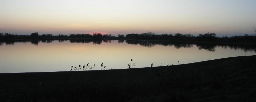 
            Фотография Стефановского