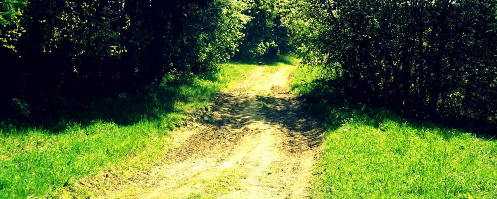 
            Фотография Черного