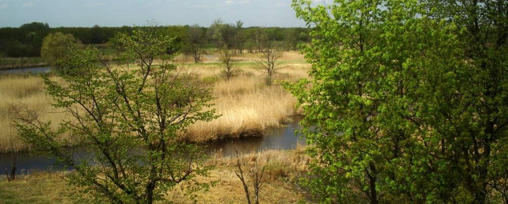 Фотография Луганя