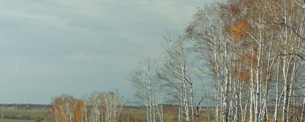 
            Фотография Павловки