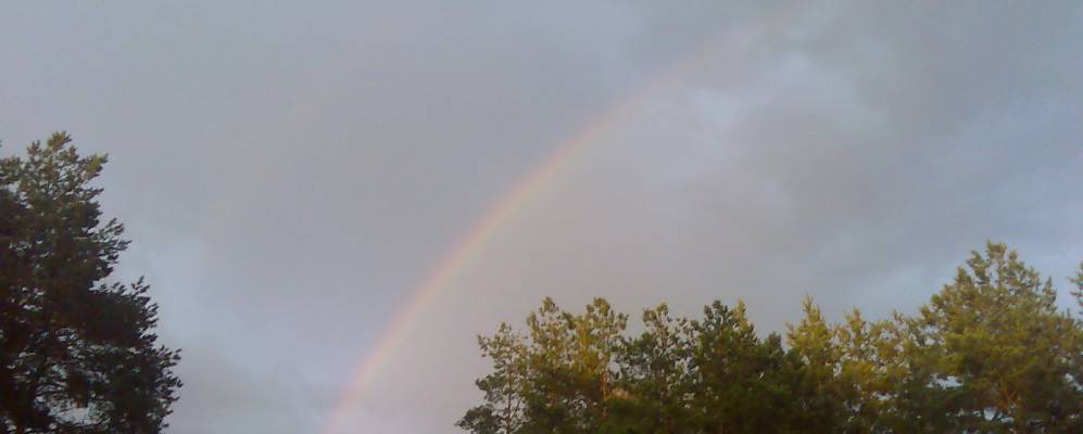 
            Фотография Плоского