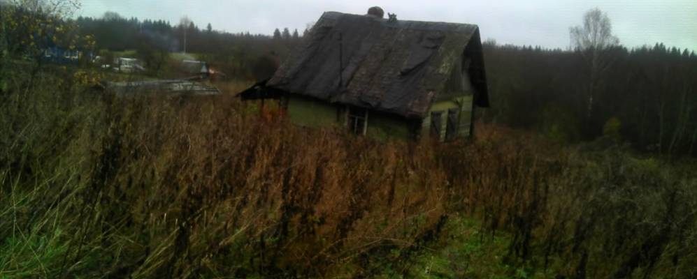 
            Фотография Курочкино