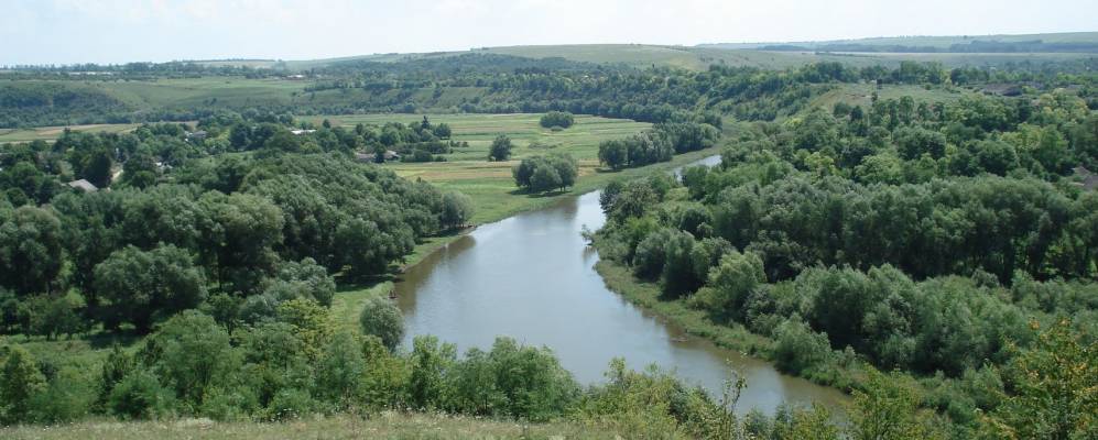 
            Фотография Вербовки