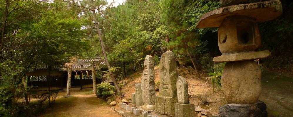 
            Фотография Асакути