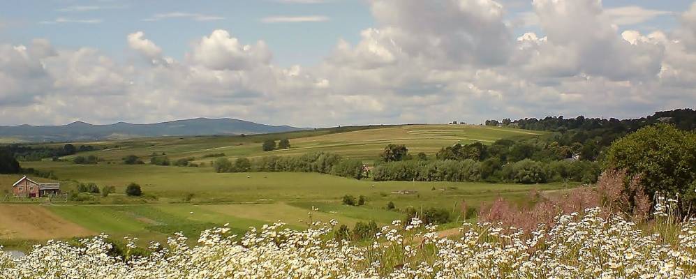 
            Фотография Язы