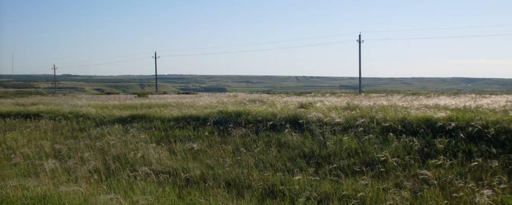 
            Фотография Дубовки