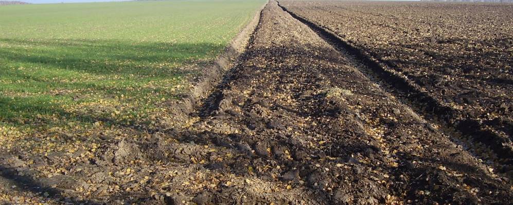 
            Фотография Крутца