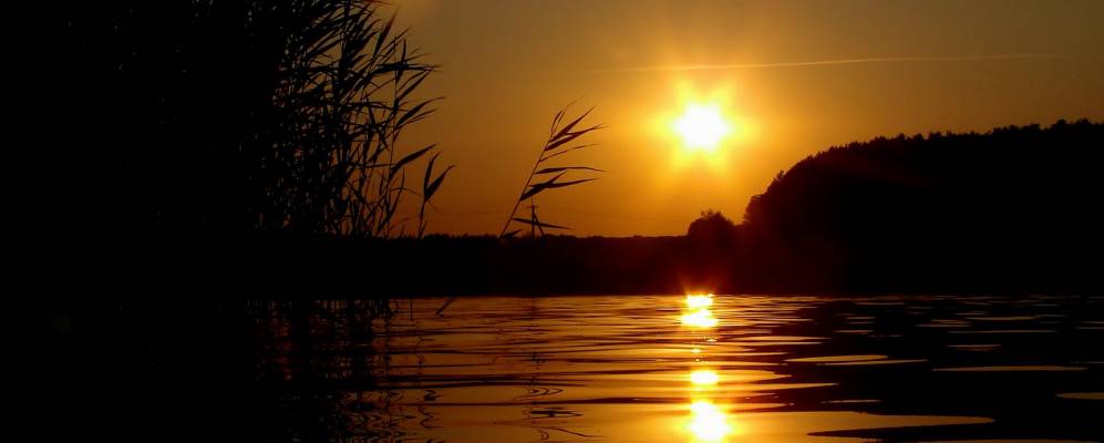 
            Фотография Озерского