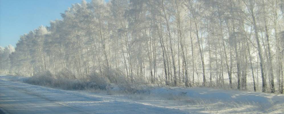 
            Фотография Нейфельда