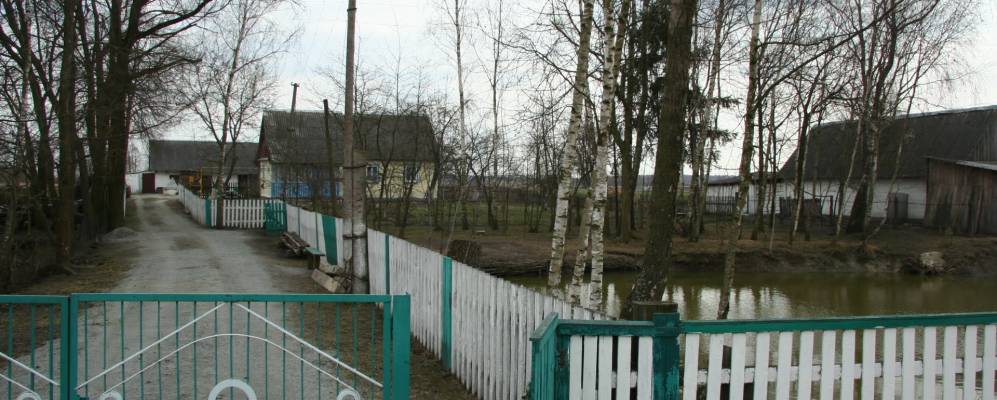 
            Фотография Середы