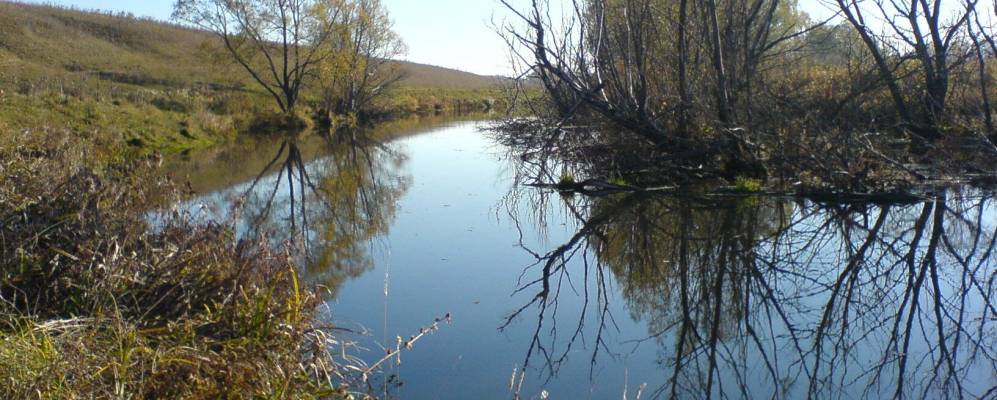 
            Фотография Богоявленки