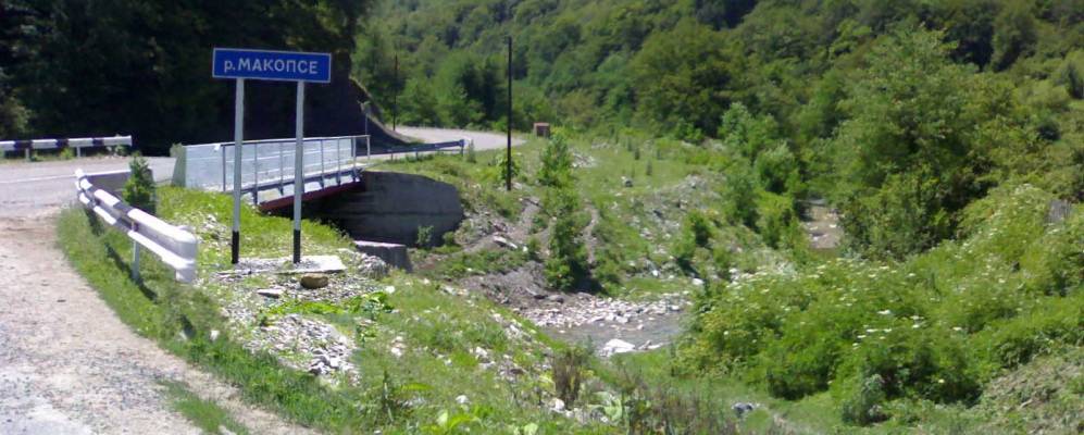 
            Фотография Наджиго