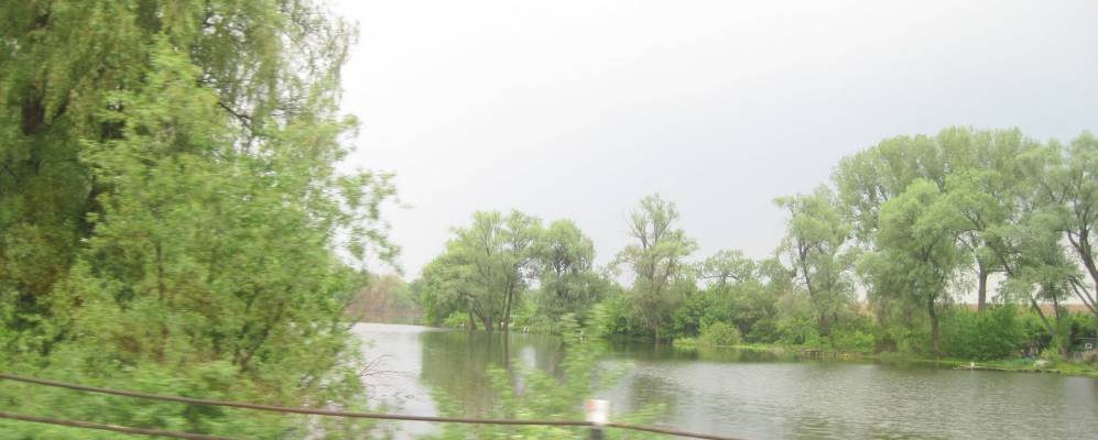 
            Фотография Бондуры