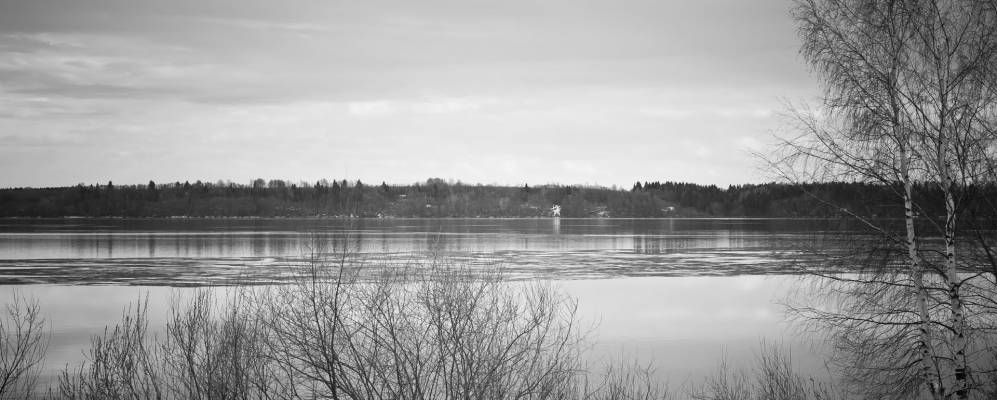 
            Фотография Кузьминской