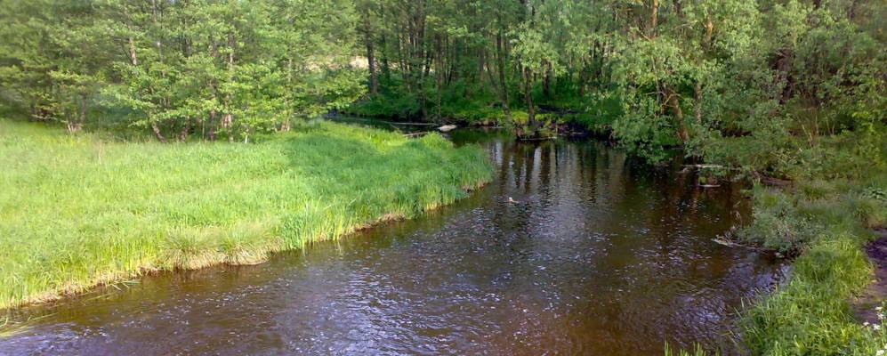 
            Фотография деревни Гинцевичи
