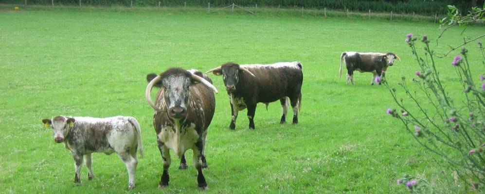 
            Фотография Альтриха