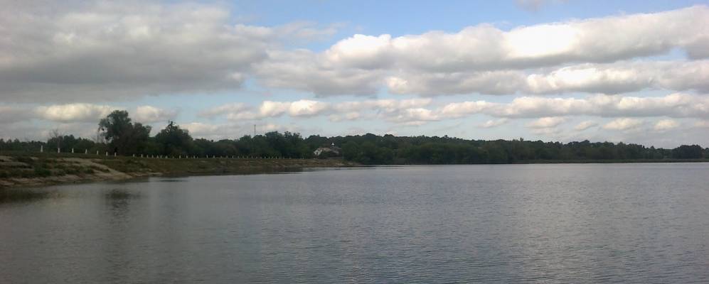 
            Фотография Животовки