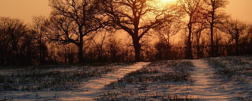 
            Фотография Радгвика