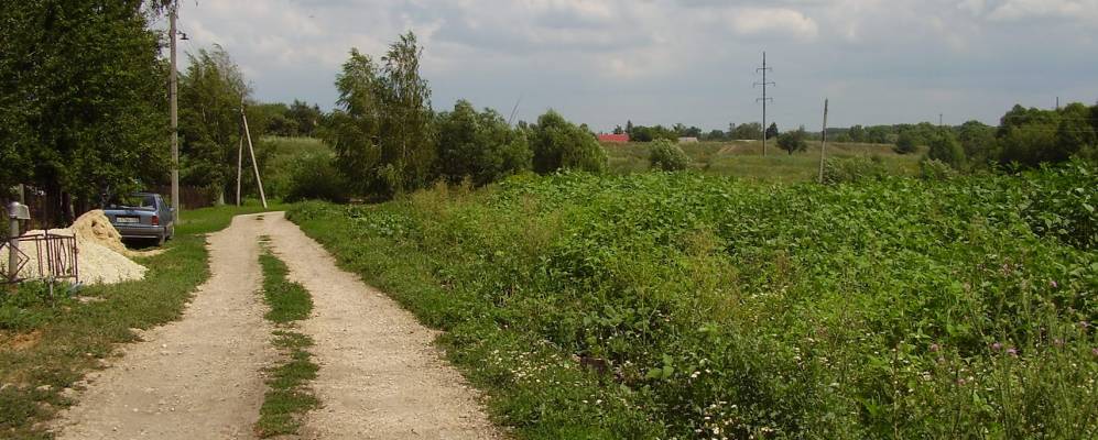 
            Фотография Братовщины