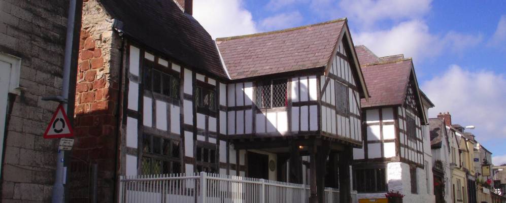 
            Фотография Рутина