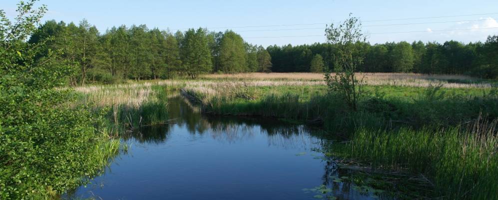 
            Фотография Старого Двора