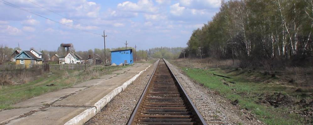 
            Фотография Отреза