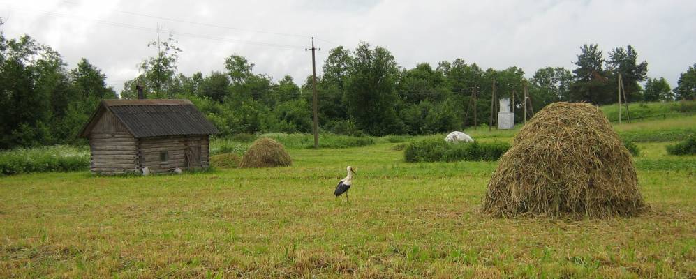 
            Фотография Морского