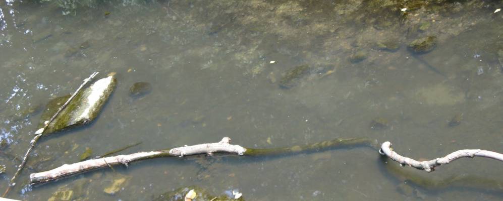 
            Фотография Хабер Ридджа