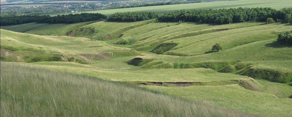 
            Фотография Лобачевского
