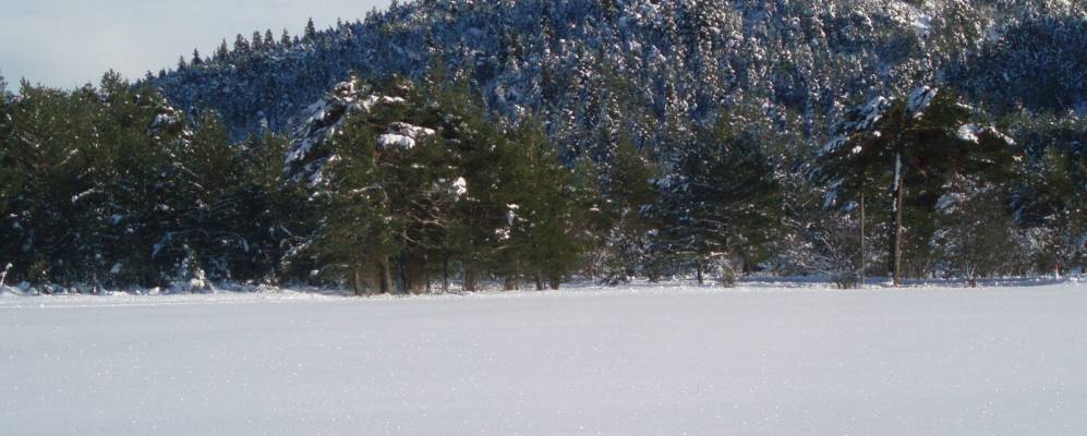 
            Фотография Торанк