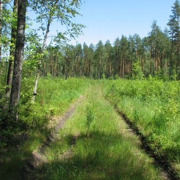 Гаврилково