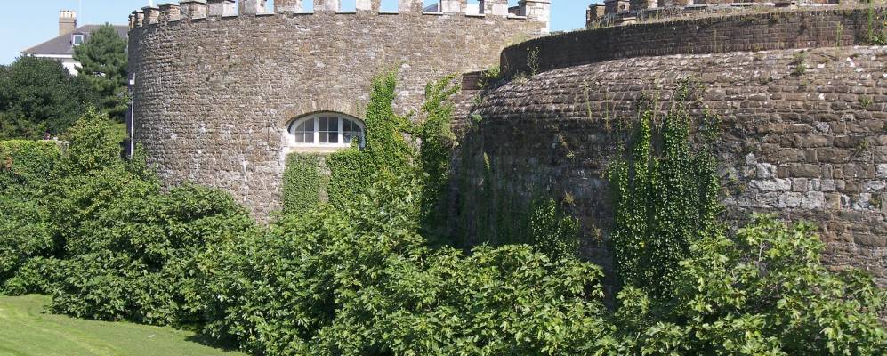 
            Фотография Дила