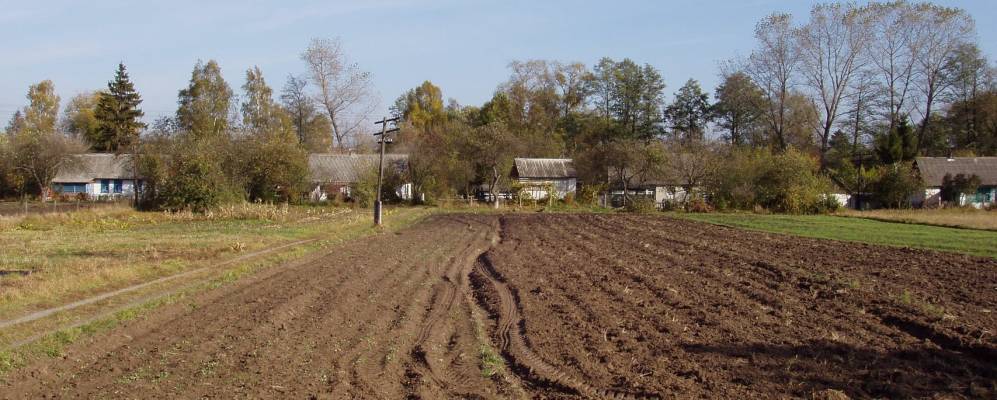 
            Фотография Луковца