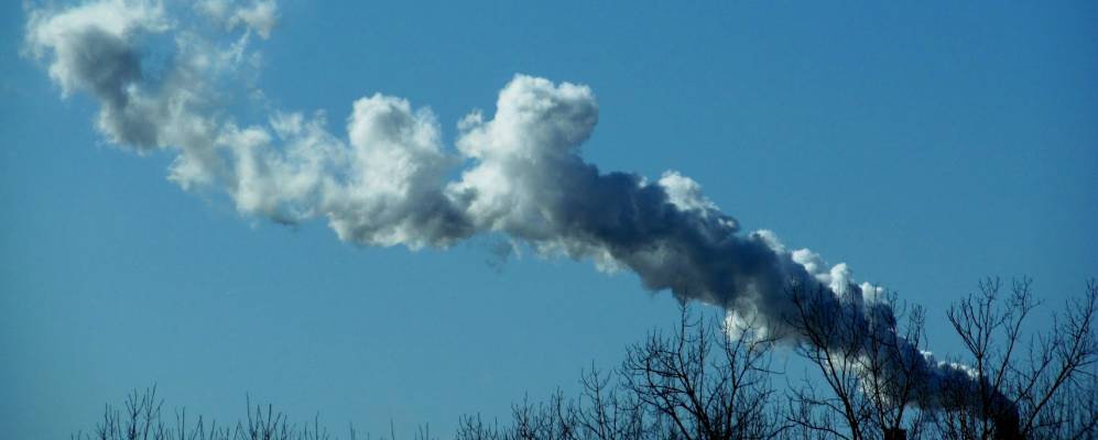 
            Фотография Гринвуда