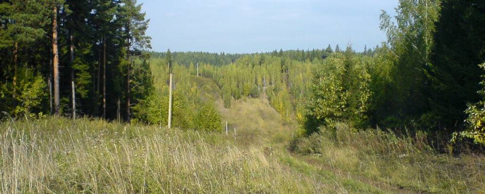 Фотография Подавихи