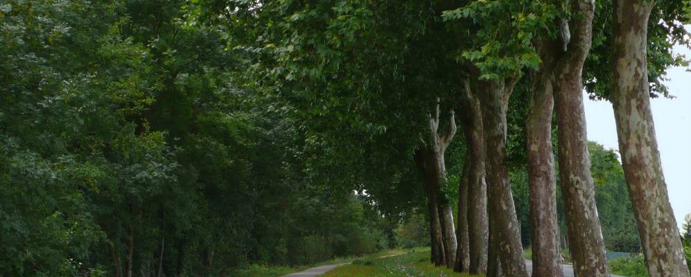 
            Фотография Куланж-ле-Невер