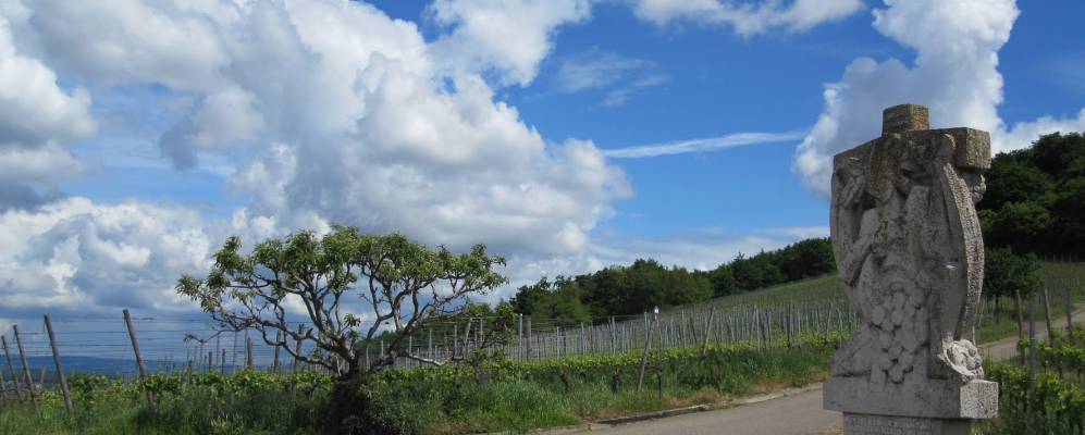 
            Фотография Эбрингена