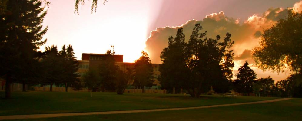 
            Фотография Хелена