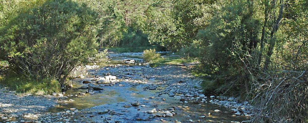 
            Фотография Исабы