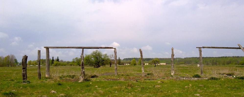 
            Фотография Голубина