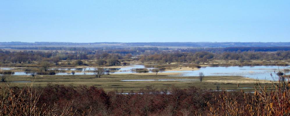 Фотография Дьяковки